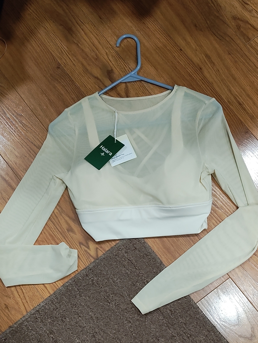 HALARA Cream Sheer Long-Sleeve Mesh Crop Top